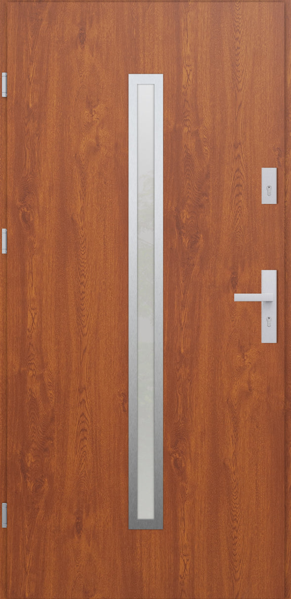 Turenwerke ATU 68 Design 501 Steel Door - Golden Oak