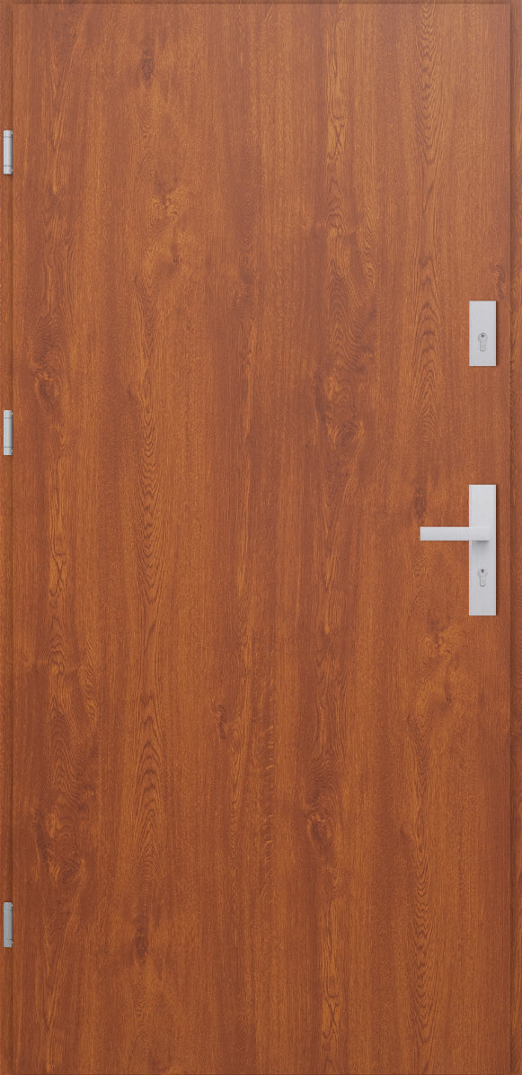 Turenwerke ATU 68 Design 502 Steel Door - Golden Oak