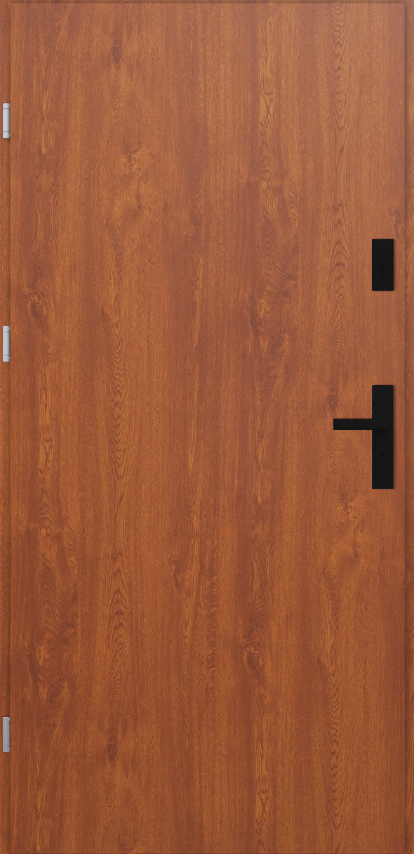 Turenwerke ATU 68 Design 522 Steel Door - Golden Oak - Blackline