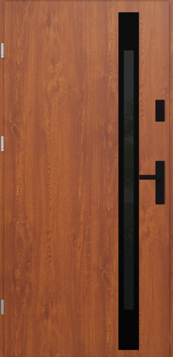 Turenwerke ATU 68 Design 534 Steel Door - Golden Oak - Blackline