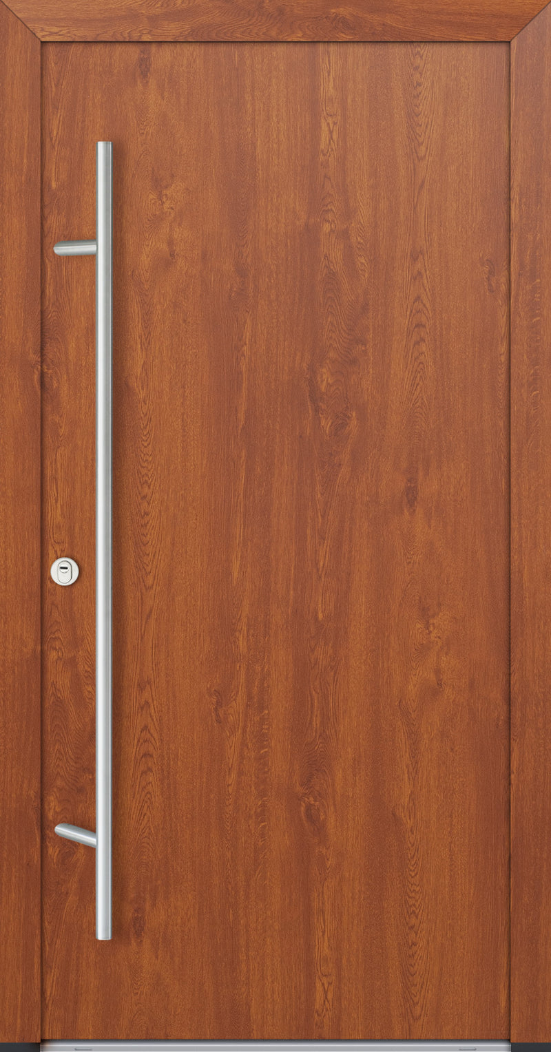 Turenwerke ALU-STEEL DS68 Design 00 Steel Door - Wood Finish Options