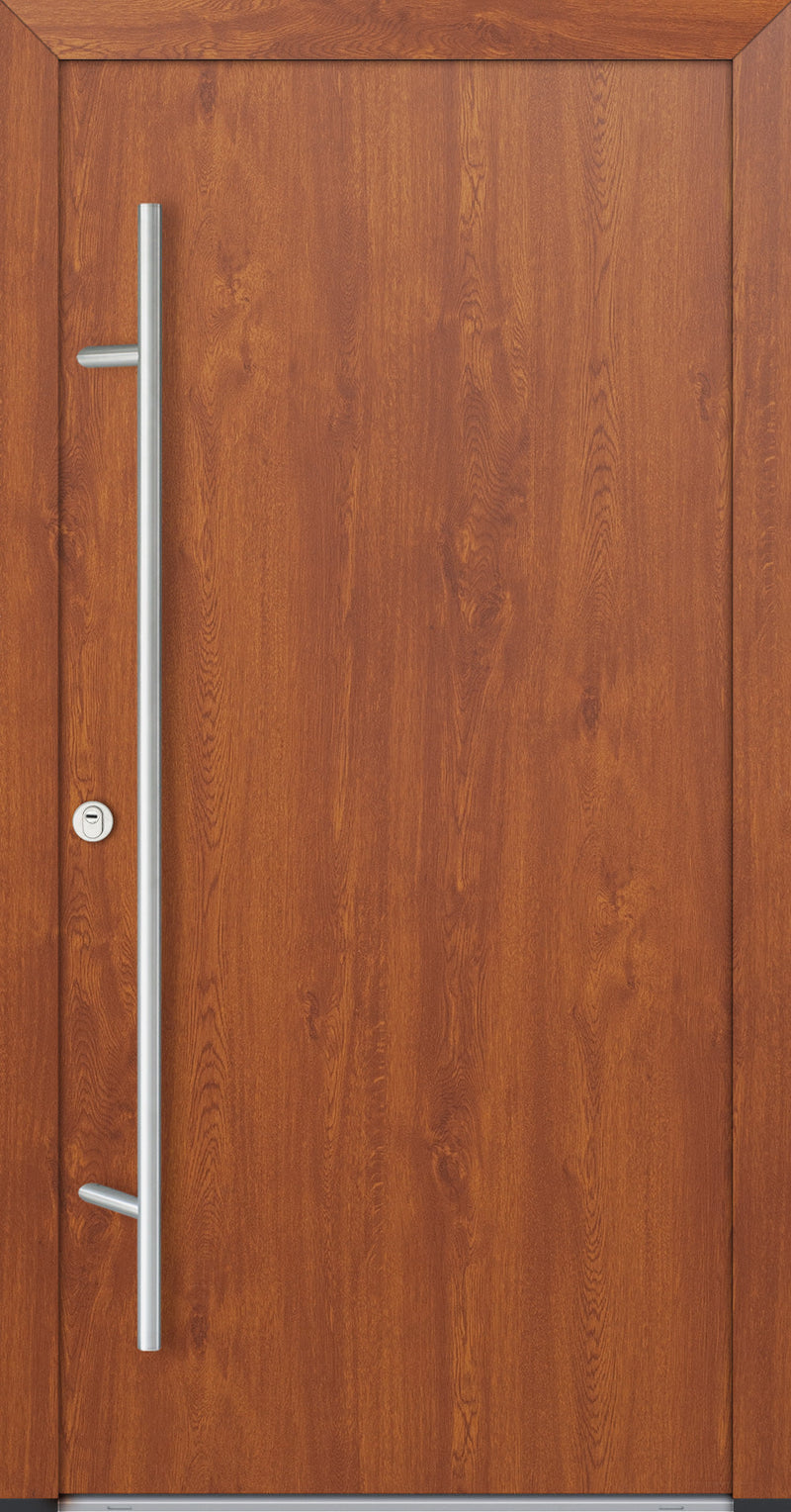 Turenwerke ALU-STEEL DS82 Design 00 Steel Door - Wood Finish Options