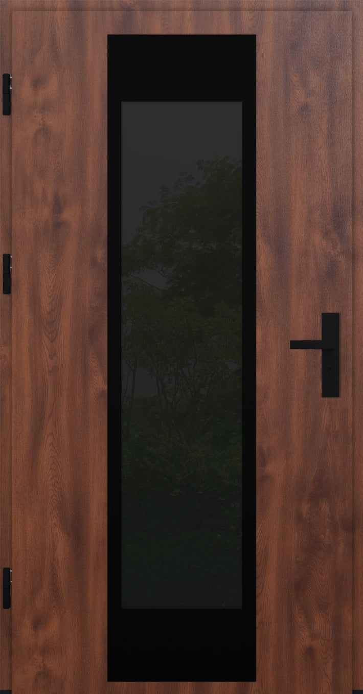 Turenwerke DS82 Design 28 Steel Door - Walnut - Blackline