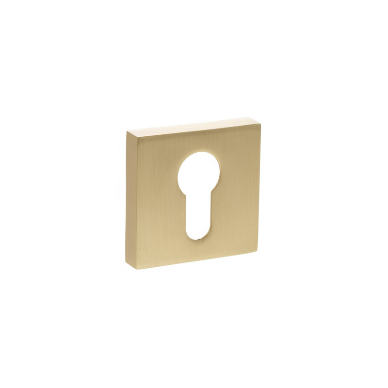 Atlantic STATUS Euro Escutcheons on S4 Square Rose - Satin Brass