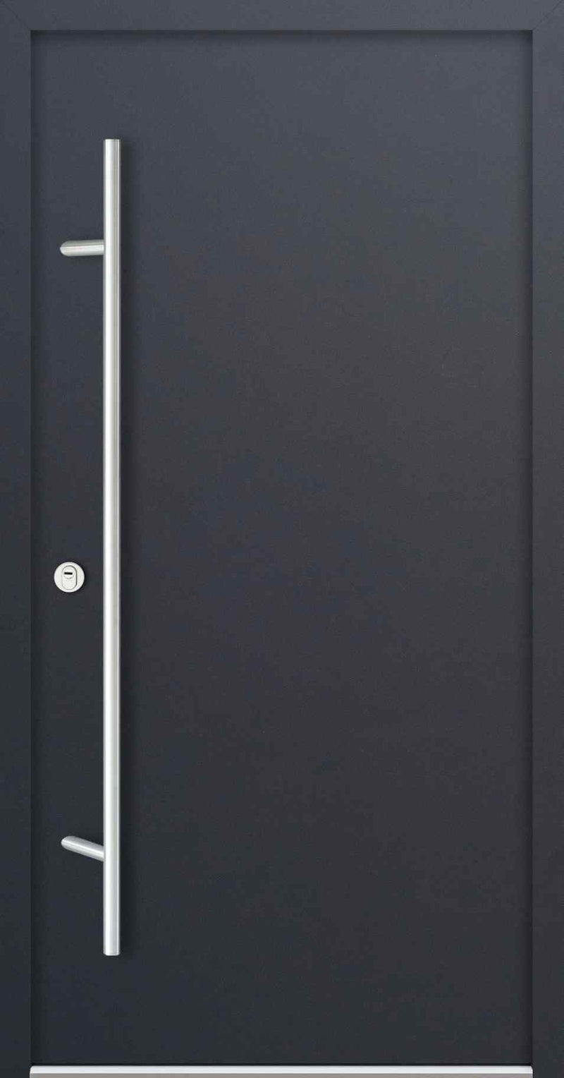 Turenwerke DS68 Design 00 Steel Door - Anthracite