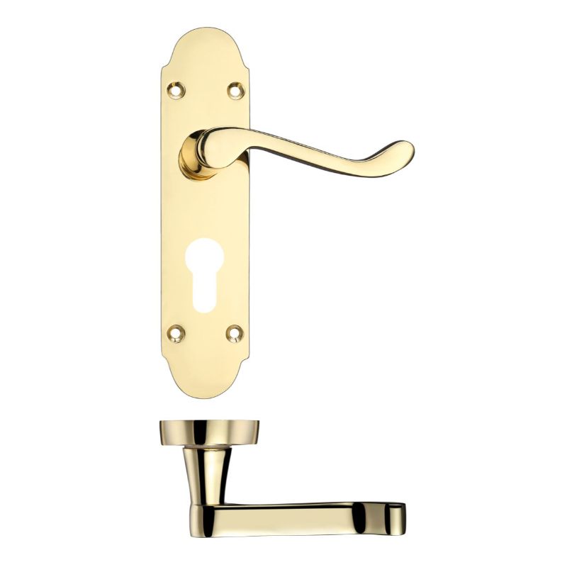 Zoo Project Oxford Lever on Europrofile Lock Backplate - 168mm x 42mm-Electro Brass