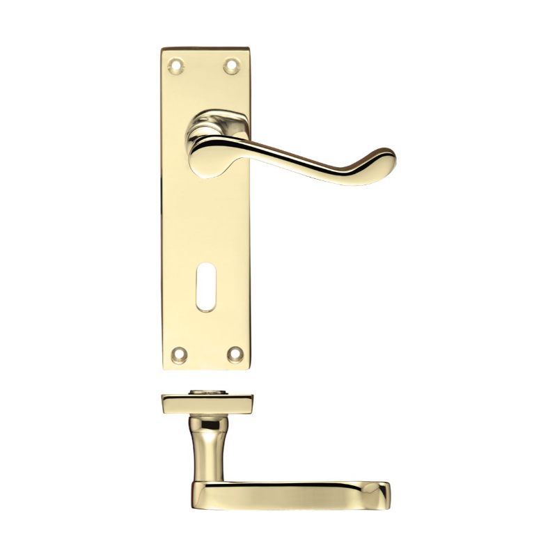 Zoo Project Victorian Scroll Lever on Lock Backplate - 150mm x 40mm-Electro Brass