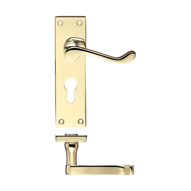 Zoo Project Victorian Scroll Lever on Europrofile Lock Backplate -150mm x 40mm-Electro Brass