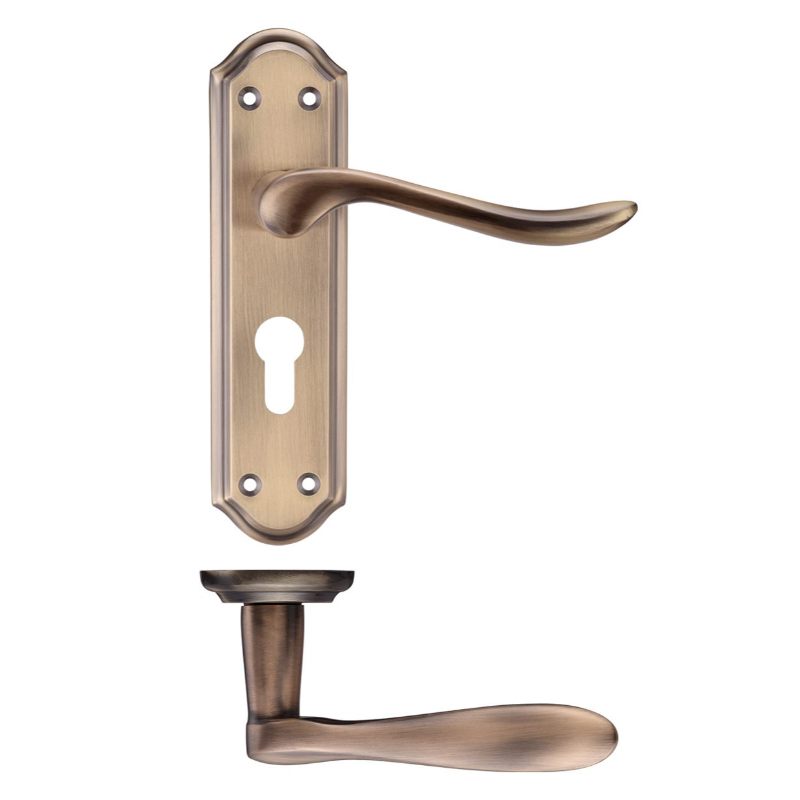 Zoo Project Lincoln Lever on Europrofile Lock Backplate 180x48mm-Florentine Bronze